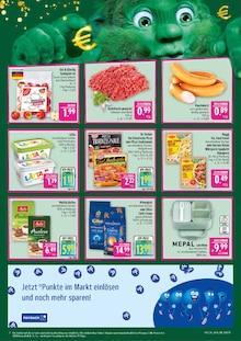 Äpfel im aktuellen Marktkauf Prospekt (Fürth) Äpfel im Marktkauf Prospekt "AUSWAHL RIESIG, PREISE NIEDRIG" mit 45 Seiten (Fürth)