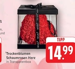 Trockenblumen Schaumrosen Herz bei EDEKA im Süßen Prospekt für 14,99 €
