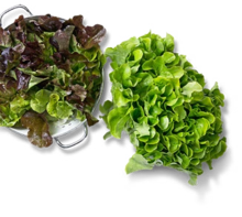 deutscher »Lollo Rosso«, »Lollo Bionda« oder Eichblattsalate bei Kaufland in Detmold deutscher »Lollo Rosso«, »Lollo Bionda« oder Eichblattsalate im Angebot bei Kaufland Detmold für 0,69 €