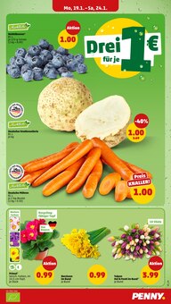Gemüse im Penny Prospekt "Wer günstig will, muss Penny." mit 43 Seiten (Ingolstadt)