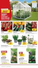 Aktueller toom Baumarkt Prospekt mit Tomaten, "Respekt, wer's selber macht.", Seite 12