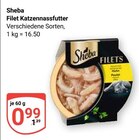 Aktuelles Filet Katzennassfutter Angebot bei GLOBUS in Erfurt ab 0,99 €