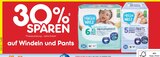 XL Premiumwindeln im Angebot bei Netto Marken-Discount in Reutlingen XL Premiumwindeln Angebote von Hallo Welt bei Netto Marken-Discount Reutlingen