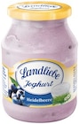 Joghurt Heidelbeere Angebote von Landliebe bei REWE Regensburg für 1,19 €