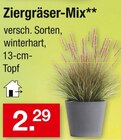 Ziergräser-Mix für 2,29 € bei Zimmermann im Angebot Ziergräser-Mix im aktuellen Zimmermann Prospekt