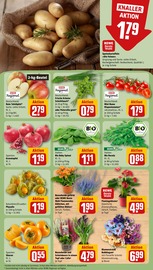 Bio im REWE Prospekt in Dormagen Aktueller REWE Prospekt mit Bio, "Dein Markt", Seite 11