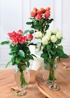 Bouquet de 7 roses Africado en promo chez Super U Saumur à 6,99 €
