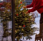 20 % Rabatt im Pflanzen Kölle Prospekt 20 % Rabatt von im aktuellen Pflanzen Kölle Prospekt für