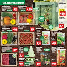 Pflanzenerde im Thomas Philipps Prospekt "Top Angebote" mit 29 Seiten (Wuppertal)