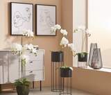 Pflanztopf Angebote von Ambia Home bei XXXLutz Möbelhäuser Hennef für 9,99 €