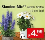 Stauden-Mix im Angebot bei Zimmermann in Lingen Stauden-Mix Angebote bei Zimmermann Lingen für 4,99 €