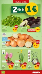 Hyazinthen Angebot & Preis im aktuellen Penny Prospekt Hyazinthen Angebot im aktuellen Penny Prospekt auf Seite 5