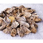 Huitres creuses FILIÈRE QUALITÉ CARREFOUR - FILIERE QUALITE CARF - Carrefour à Cherbourg-Octeville Huitres creuses FILIÈRE QUALITÉ CARREFOUR - FILIERE QUALITE CARF en promo chez Carrefour Cherbourg-Octeville à 8,99 €