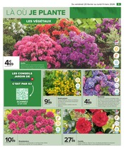 Hortensia Angebote im Prospekt "JARDIN LÀ OÙ LA VIE SE CULTIVE" von Carrefour Hortensia Angebote im Prospekt "JARDIN LÀ OÙ LA VIE SE CULTIVE" von Carrefour auf Seite 7