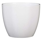 Pflanzgefäß bei Hagebaumarkt im Iserlohn Prospekt für 6,99 €