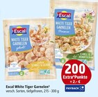 Aktuelles White Tiger Garnelen gekocht Angebot bei Marktkauf in Heilbronn