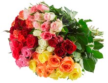 Rosen Duo* bei REWE in Aachen Rosen Duo* im Angebot bei REWE Aachen für 3,50 €