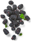 Kaufland Siegen - Brombeeren Angebot im Prospekt Brombeeren bei Kaufland im Siegen Prospekt für 1,99 €