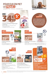 Prix et réduction Alimentation Chat dans le prospectus Jardiland en cours Offre Alimentation Chat dans le catalogue Jardiland du moment à la page 6