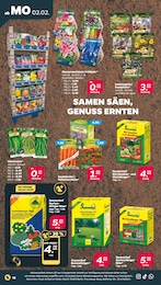 Pflanzen im Netto mit dem Scottie Prospekt Günstig. Besser. Für Dich. auf S. 20