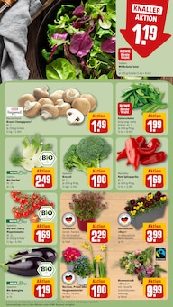 Salat im REWE Prospekt "Dein Markt" mit 24 Seiten (Duisburg)