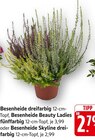 Besenheide dreifarbig Angebote bei EDEKA Worms für 2,79 €