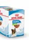 TROCKEN- & NASSFUTTER SMALL BREED 2 kg Beutel im Angebot bei Zookauf in Neubrandenburg TROCKEN- & NASSFUTTER SMALL BREED 2 kg Beutel Angebote von Royal Canin bei Zookauf Neubrandenburg für 12,59 €