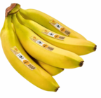 Bananen im Angebot bei Netto Marken-Discount in Stralsund Bananen Angebote von Netto bei Netto Marken-Discount Stralsund für 1,00 €