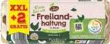 Aktuelle Eier Angebote bei Netto Marken-Discount in Saarbrücken Aktuelles Eier aus Freilandhaltung Angebot bei Netto Marken-Discount in Saarbrücken ab 2,39 €