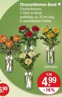 Chrysanthemen Bund für 4,99 € bei V-Markt im Angebot Chrysanthemen Bund im aktuellen V-Markt Prospekt