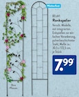 Rankspalier im ALDI SÜD Prospekt Rankspalier von BELAVI im aktuellen ALDI SÜD Prospekt für 7,99 €