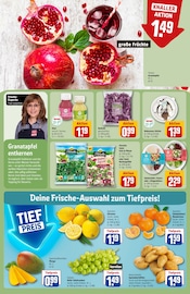 Ähnliche Heu Angebote im Prospekt "Dein Markt" von REWE in Düsseldorf Ähnliche Angebote wie Heu im Prospekt "Dein Markt" auf Seite 8 von REWE in Düsseldorf