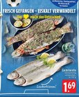 Aktuelle Forelle Angebote bei EDEKA in Mönchengladbach Aktuelles Lachsforelle Angebot bei EDEKA in Mönchengladbach ab 1,69 €