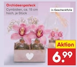 Aktuelles Orchideengesteck Angebot bei Netto Marken-Discount in Mannheim ab 6,99 €