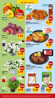 Blumen im Penny Prospekt "Wer günstig will, muss Penny." mit 44 Seiten (Hamburg)