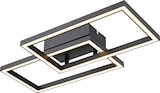 LED-Deckenleuchte im aktuellen ROLLER Prospekt