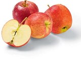 Aktuelles Äpfel rot Angebot bei Netto Marken-Discount in Göttingen ab 2,29 €