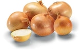 Aktuelles Zwiebel Angebot bei Netto Marken-Discount in Oldenburg ab 1,49 €