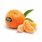 Mandarinen bei GLOBUS im Idar-Oberstein Prospekt für 2,22 €