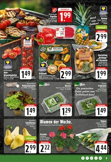 Paprika im aktuellen EDEKA Prospekt (Osnabrück) Paprika im EDEKA Prospekt "Aktuelle Angebote" mit 24 Seiten (Osnabrück)