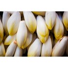 Endives jeunes pousses en promo chez Carrefour Endives jeunes pousses dans le catalogue Carrefour