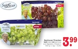 Trauben hell kernlos im Angebot bei E center in Mannheim Trauben hell kernlos Angebote von SanLucar bei E center Mannheim für 3,99 €
