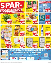 Katzenfutter im Kaufland Prospekt "KNÜLLER" mit 32 Seiten (Dortmund)