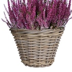 Aktuelle Blumentopf Angebote bei Hagebaumarkt in Essen Aktuelles Pflanzkorb Marcia Angebot bei Hagebaumarkt in Essen ab 4,99 €