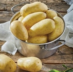 Intermarché Express Suresnes - Promo Pommes de terre de consommation à chair ferme Promo Pommes de terre de consommation à chair ferme à 2,35 € dans le catalogue Intermarché Express à Suresnes