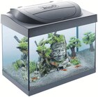 Starter Line Aquarium im Angebot bei ZooRoyal in Düsseldorf Starter Line Aquarium Angebote von Tetra bei ZooRoyal Düsseldorf für 58,99 €
