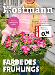 Pflanzen Angebot im aktuellen Blumen Ostmann Prospekt auf Seite 1