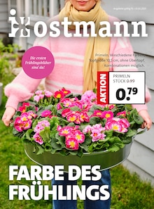 Zimmerpflanzen im Blumen Ostmann Prospekt "FARBE DES FRÜHLINGS" mit 17 Seiten (Bremen)