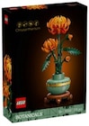 • 10368 LEGO Botanicals Chrysantheme im Angebot bei Penny in Stade • 10368 LEGO Botanicals Chrysantheme Angebote von LEGO bei Penny Stade für 19,99 €