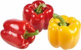 Paprika Duo bei EDEKA im Lünen Prospekt für 1,11 €